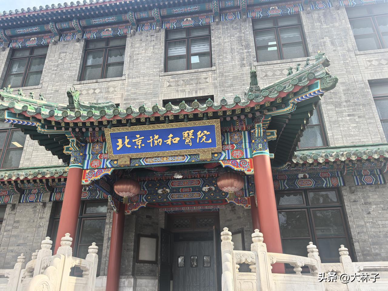 协和像一首诗，它更像一株古老的银杏，立在时代的河畔，将慈悲舒展成荫，一半是科学的