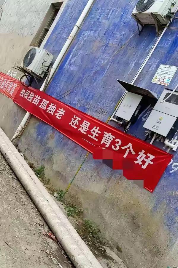 要想提高新生人口数量，目前只有一个办法了！

那就是宣布取消退休金，或者每人最多