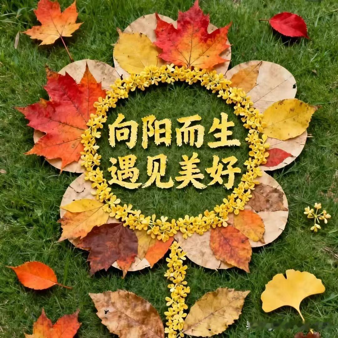 人这一辈子，
不要羡慕别人的辉煌，
人人都有苦衷，
何须羡慕他人。
别为自己的平