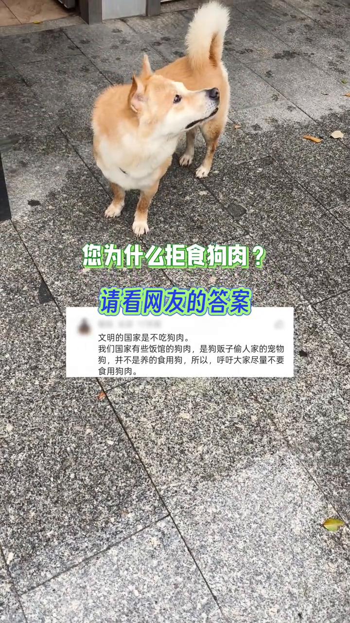您为什么拒食狗肉？请看网友的答案。
文明的国家是不吃狗肉。我们国家有些饭馆的狗肉