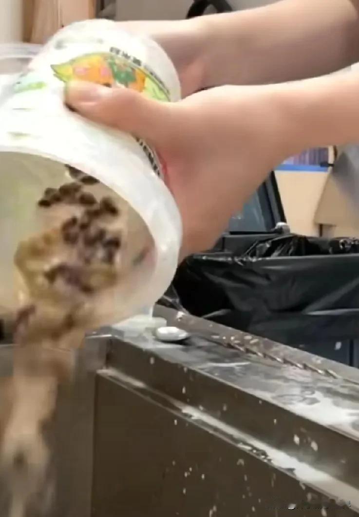 几百杯奶茶被倒进下水道，这3个人都该反思。

1、顾客。既贪心又懒。贪心在于抢到