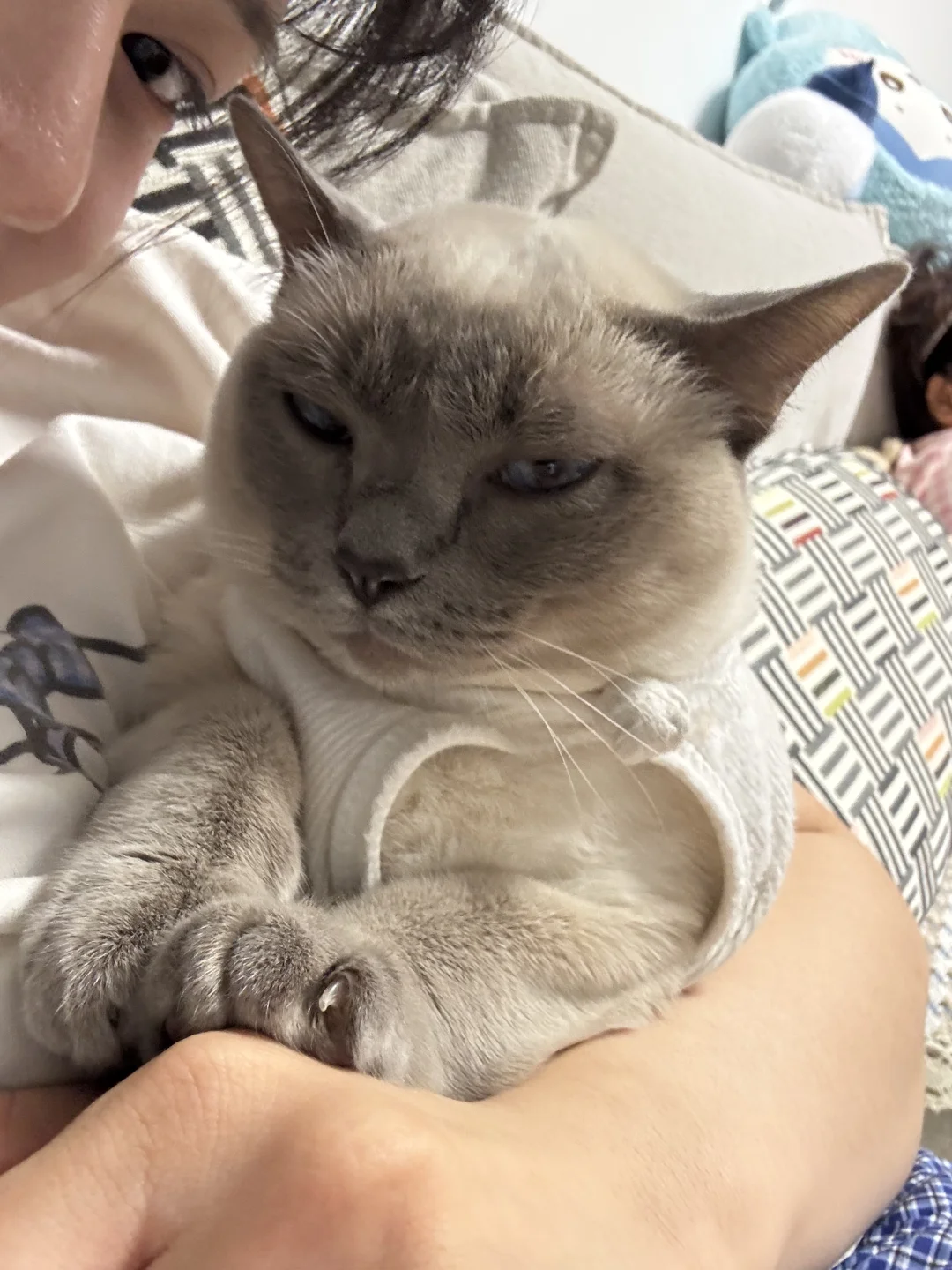 什么表情啊哈哈哈哈哈