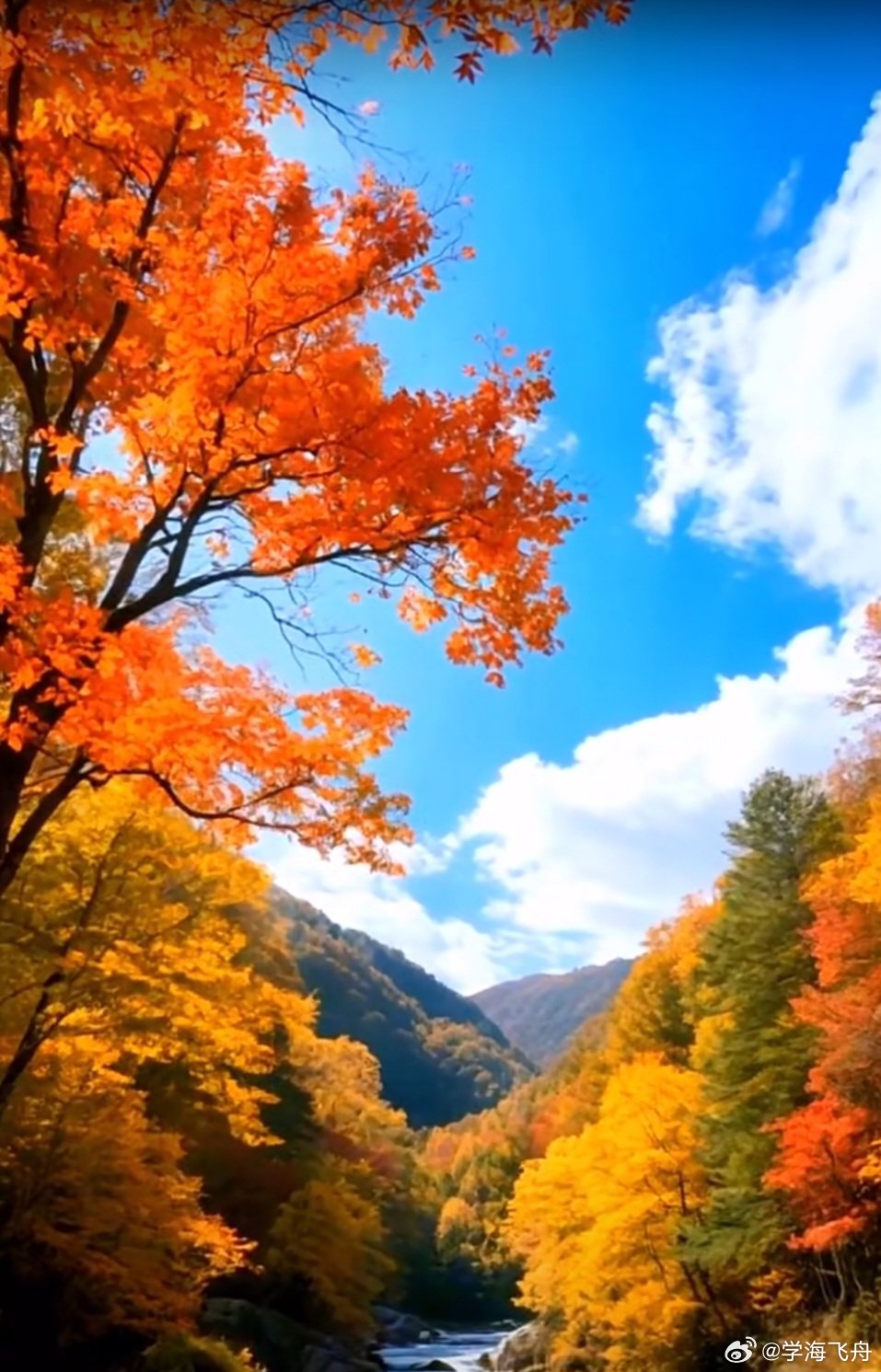 今天A股大盘沿袭了上周五上扬的走势：东方财富App显示的10项指数全体上涨收红，