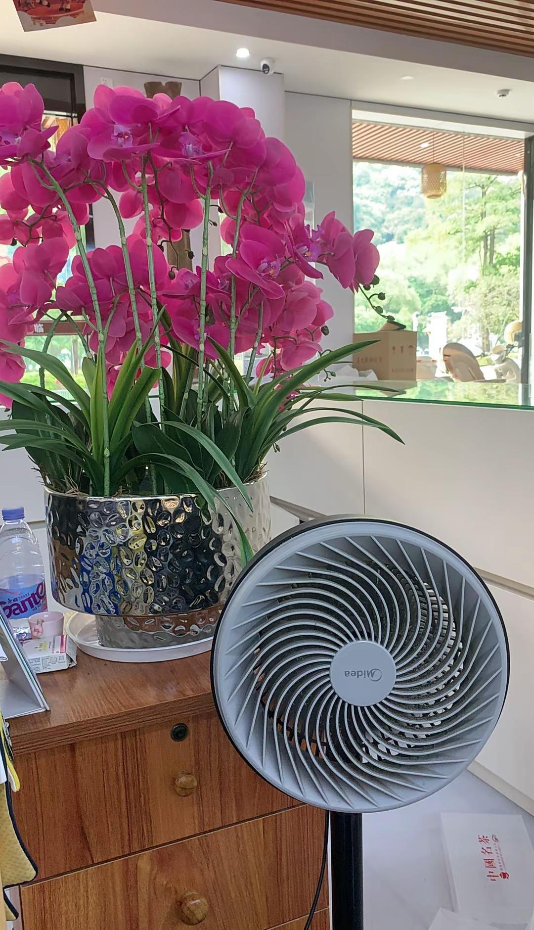 这几天都30度了，今年这个夏天注定不平凡呀！风扇吹着刚刚好，这太阳难道独宠广东了