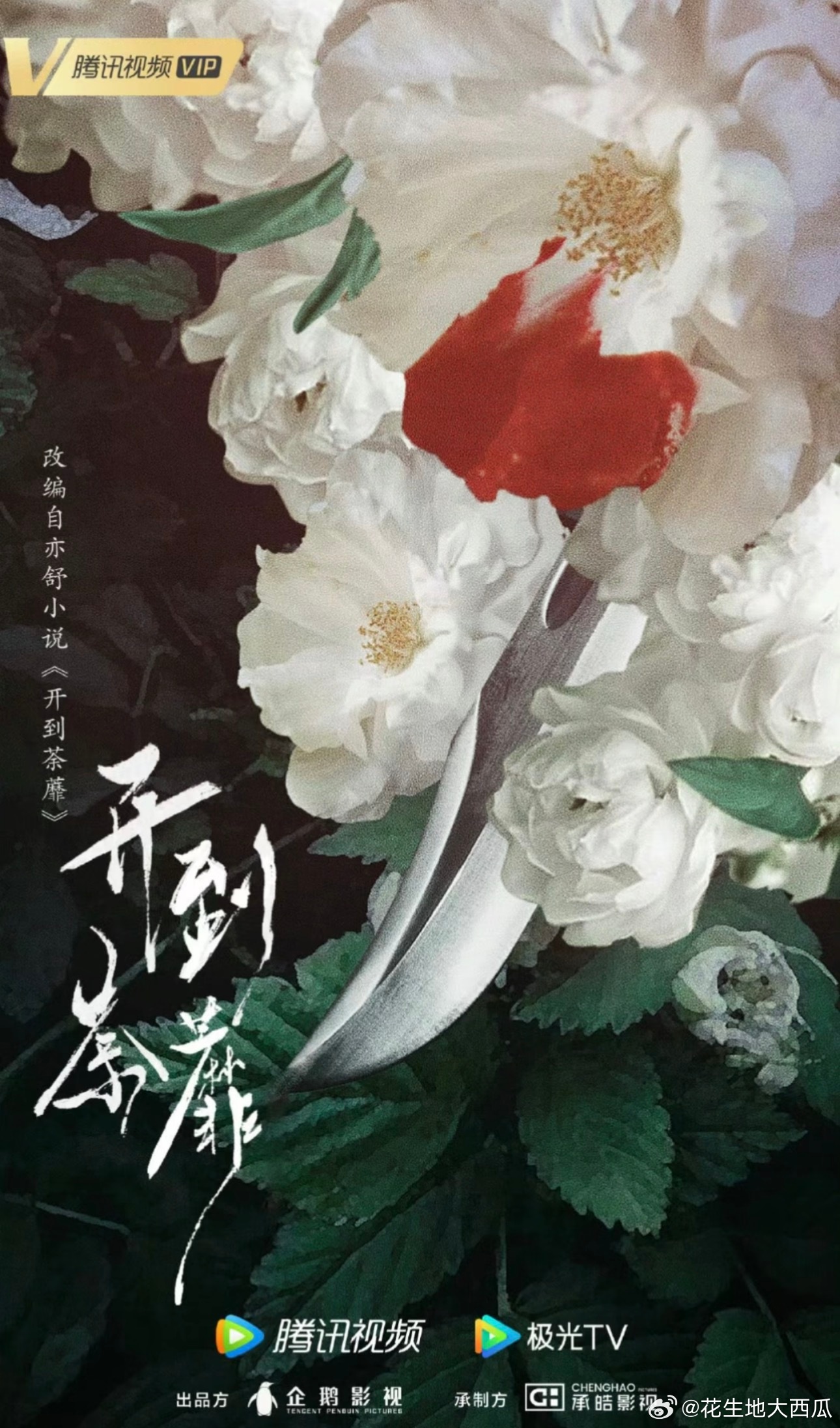 开到荼靡女主男主：王韵娜/白鹿、左文思/常华森男二女二：滕海圻/彭冠英、左淑东/