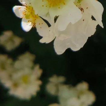 每日一善   每日一善   阳光信用 只有品味了痛苦，才能珍视曾经忽略的快乐；只