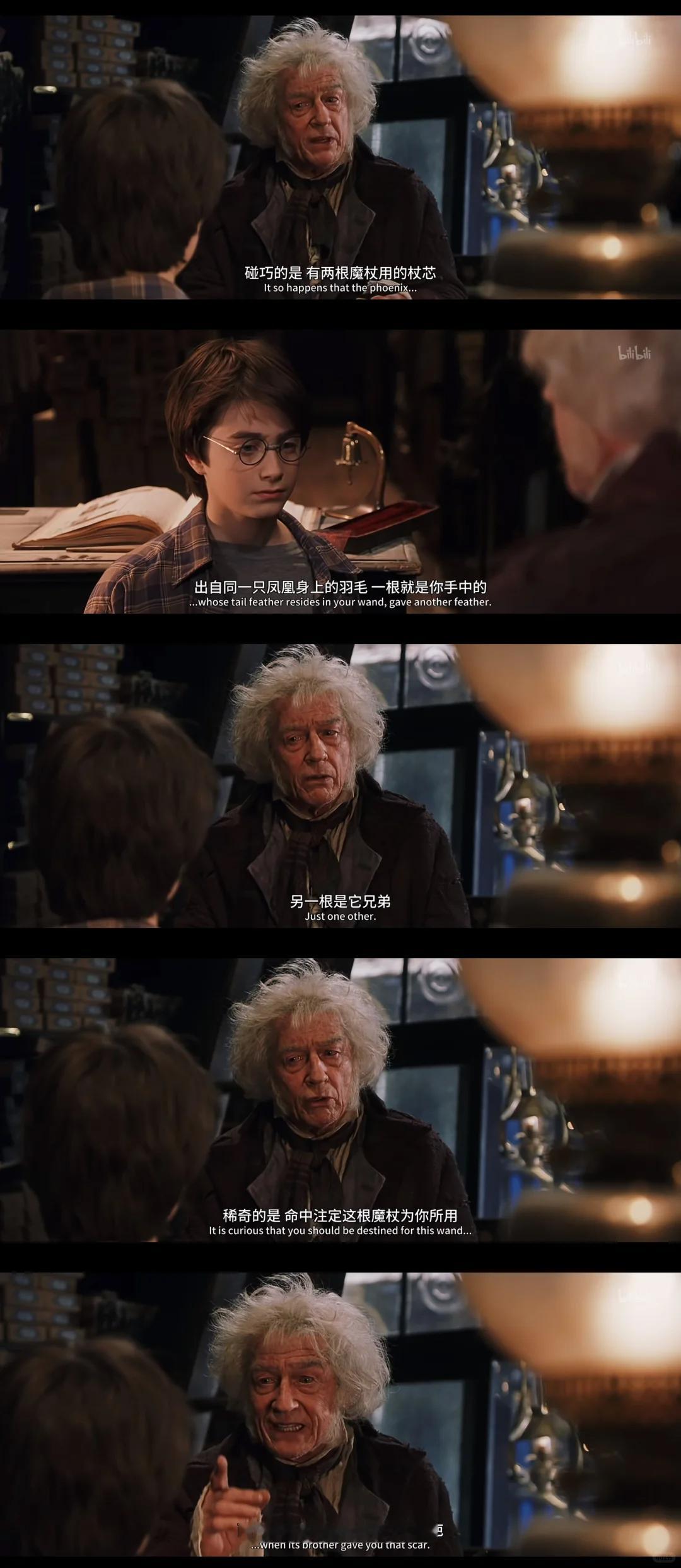 《哈利波特》哈利的魔杖选择的，是伏地魔的灵魂哈利波特就是常看常新！！🪄不是碰巧