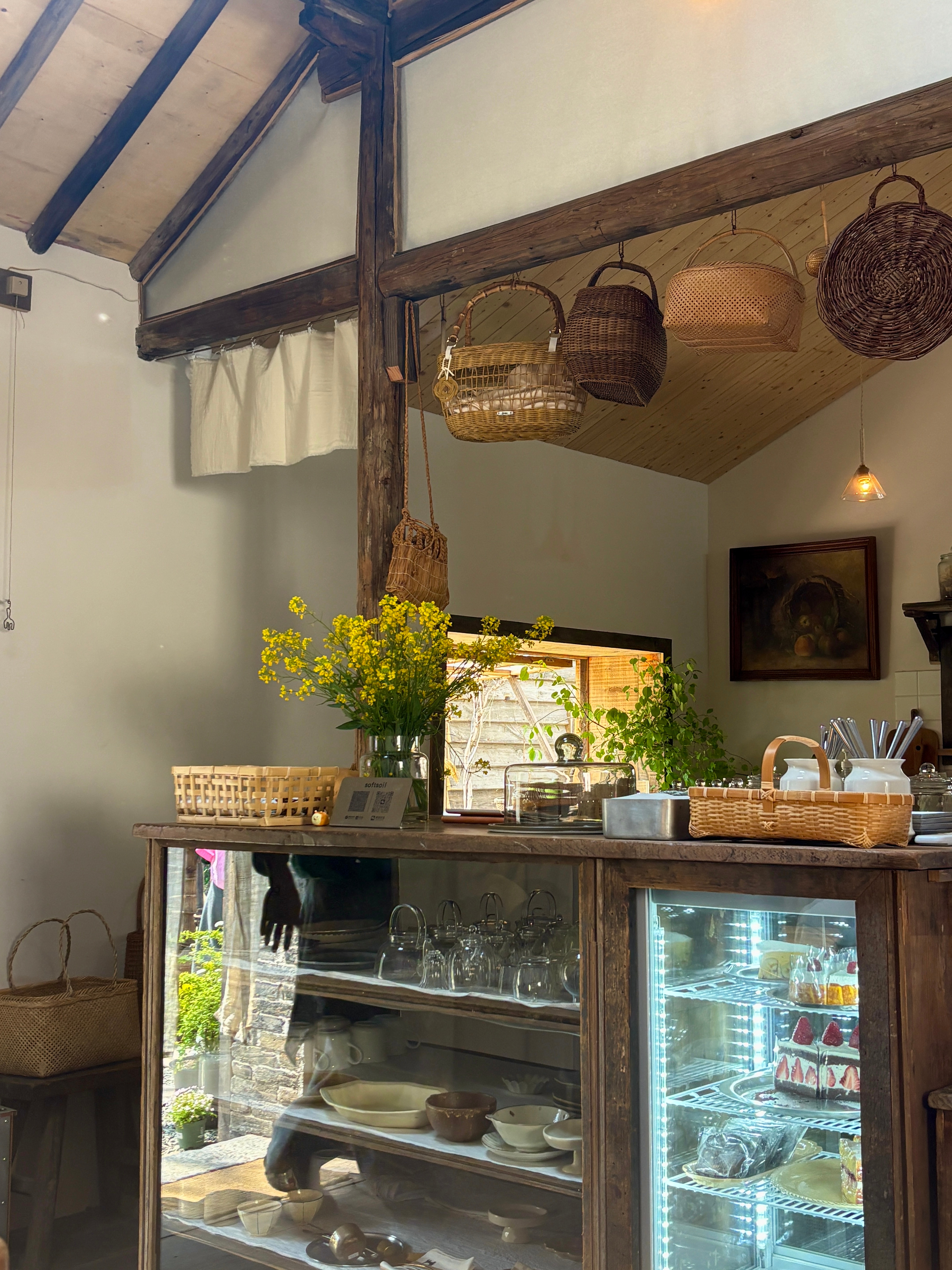 "树与光"🍃看似美美下乡玩，实则是考试考点太偏没招了希望四月顺利结束东奔西走的