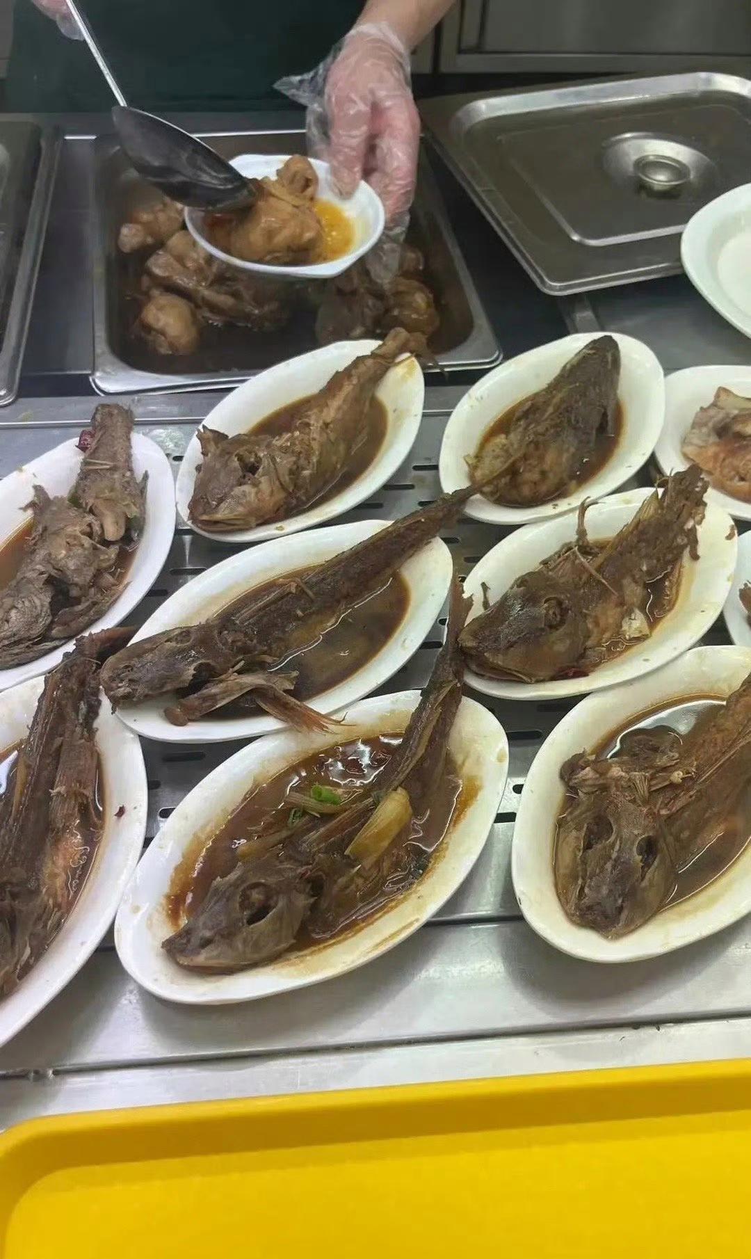 学校食堂今天做的鱼儿真的是好吃啊 ​​​