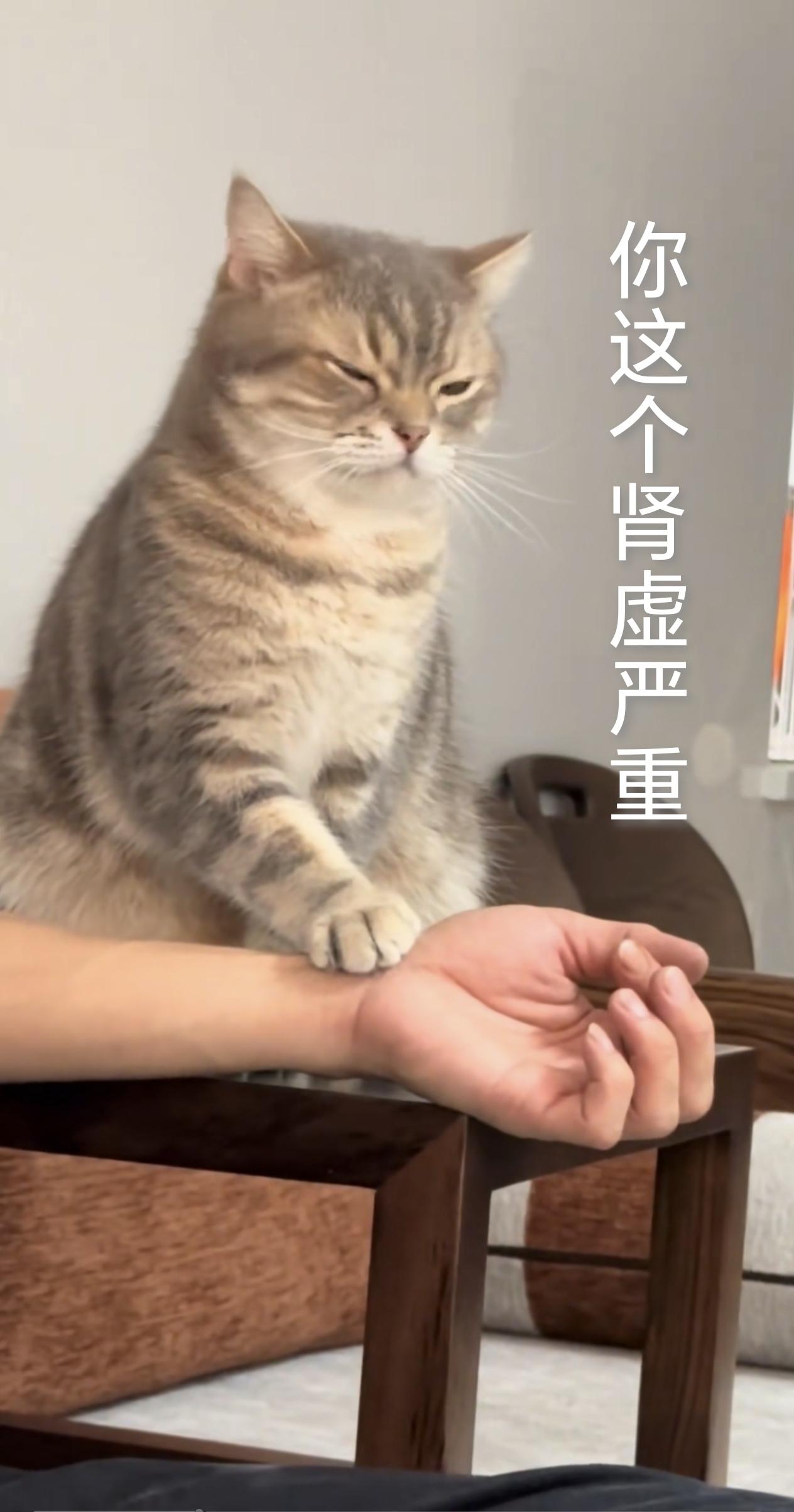 喵大夫号脉比较准！
[捂脸][捂脸][捂脸]