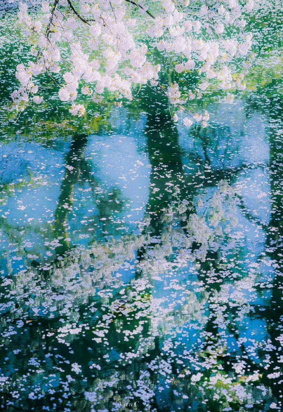 说起来，古人论功绩排名前二的，必然是周公旦和始皇帝。
周公旦确立“礼”，始皇帝的