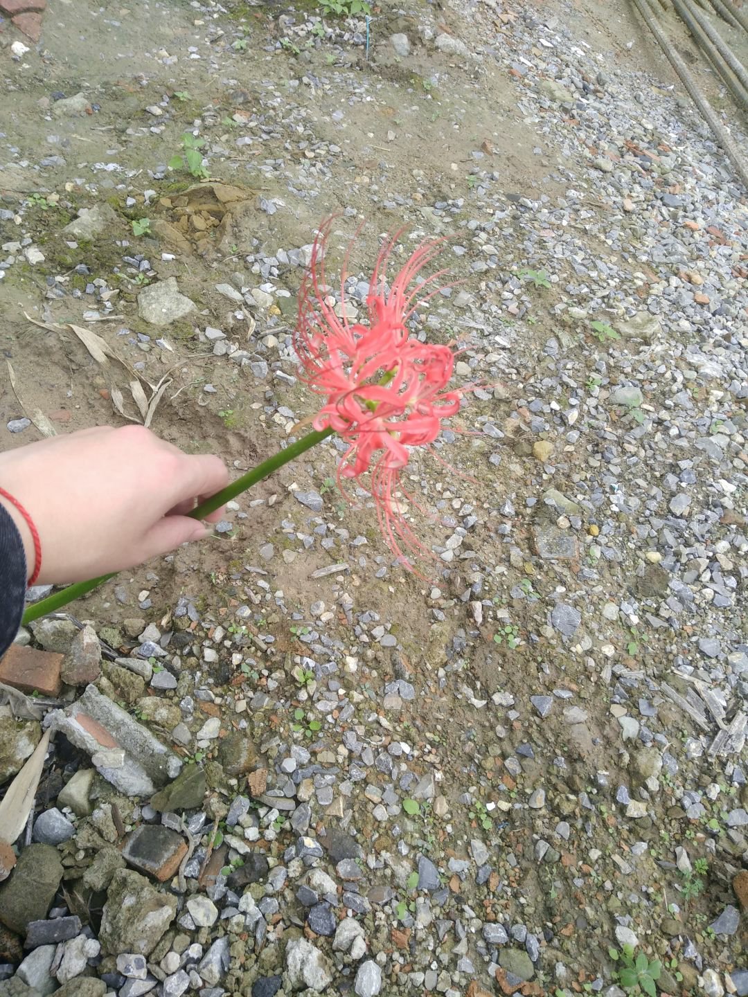 网友：希望我能活着回来 ​​​