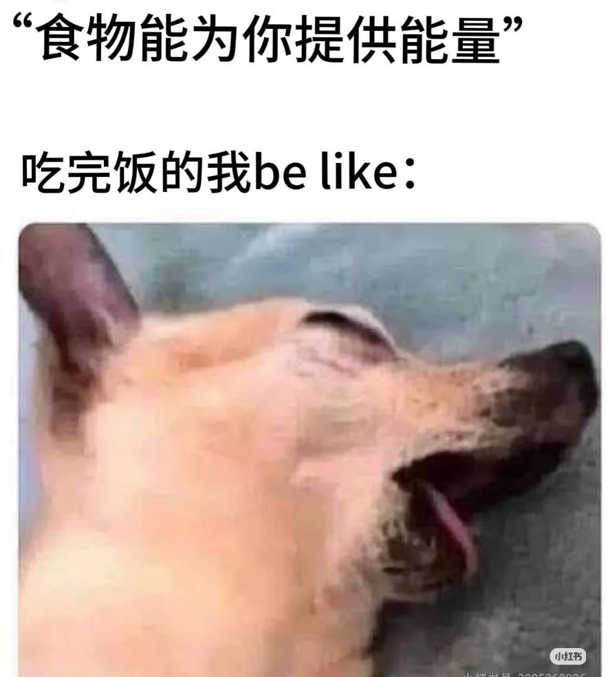 今日份meme