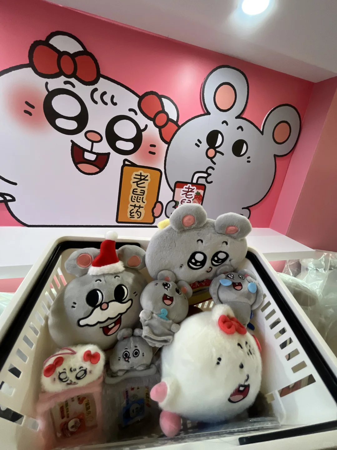北京的！！终于来了！！