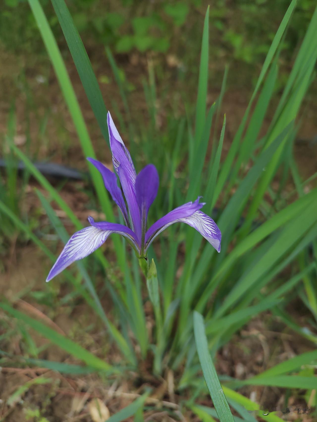 晒出你的本地生活北京西郊蓄水工程位于田村山南路和上庄大街交叉路口以西，是北京海绵