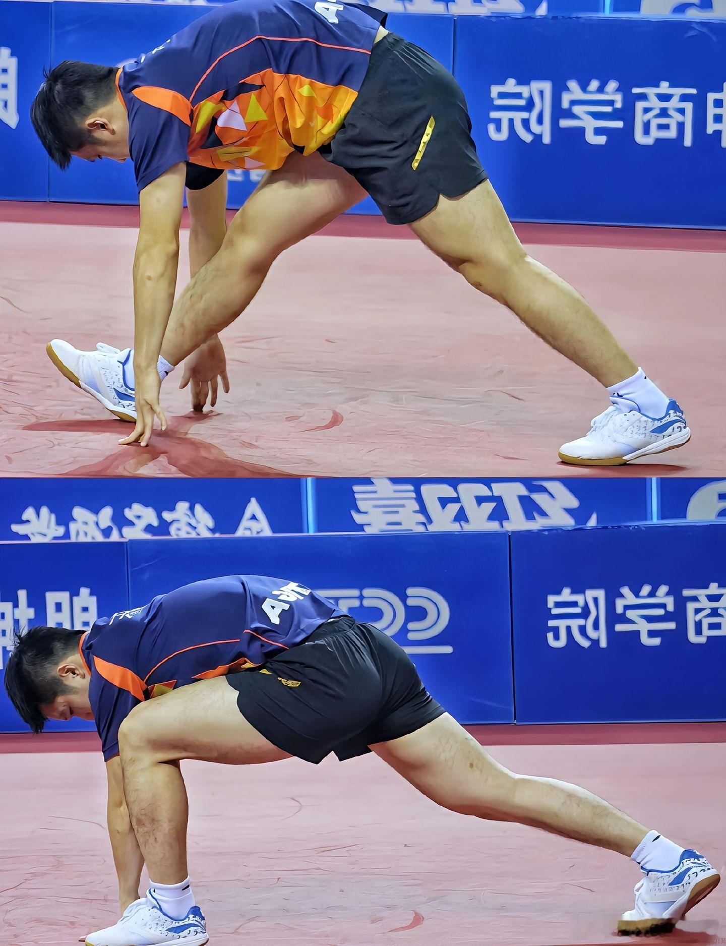 说到樊振东下盘的稳定性，至今还记得那句“臀部发力” 