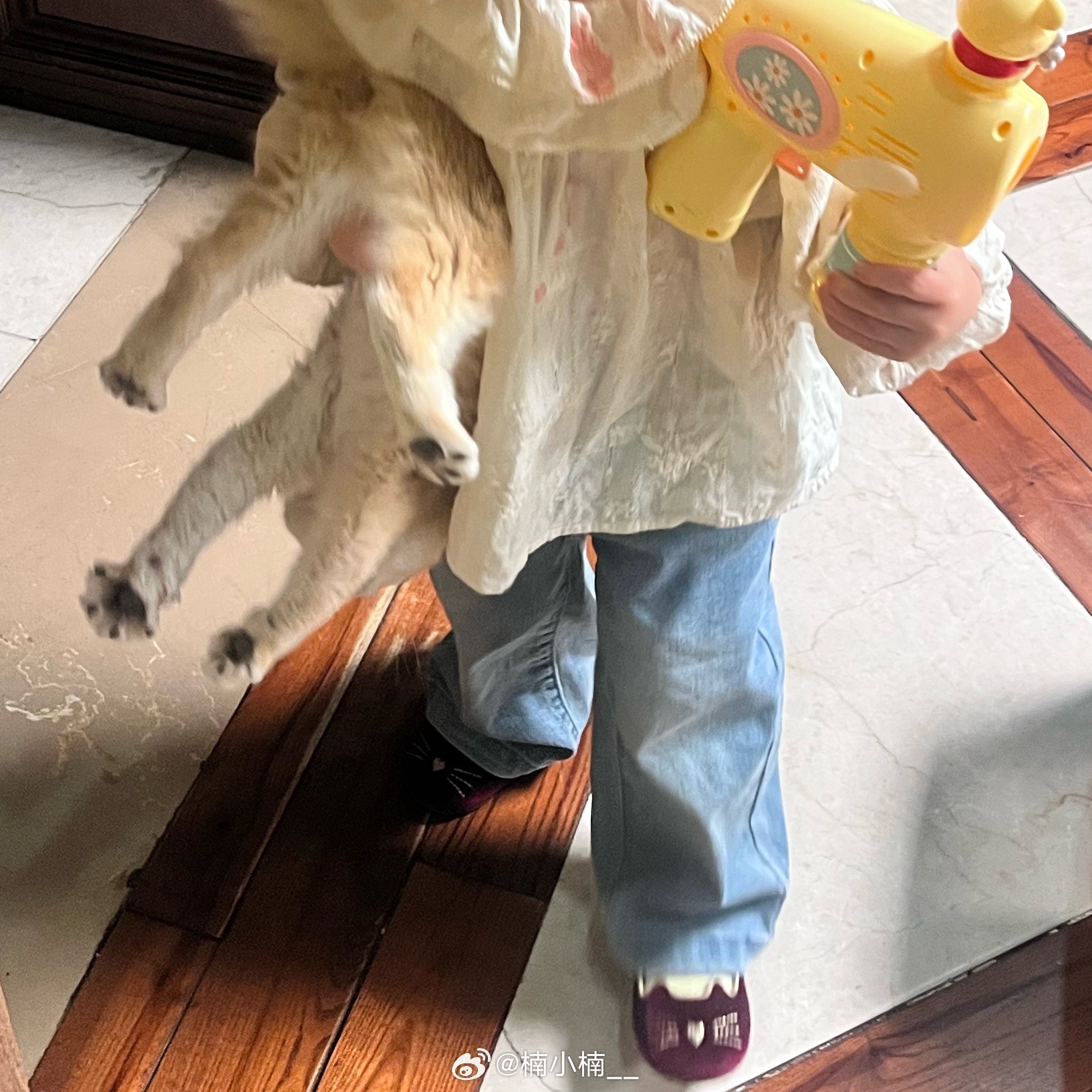 邪恶多比 