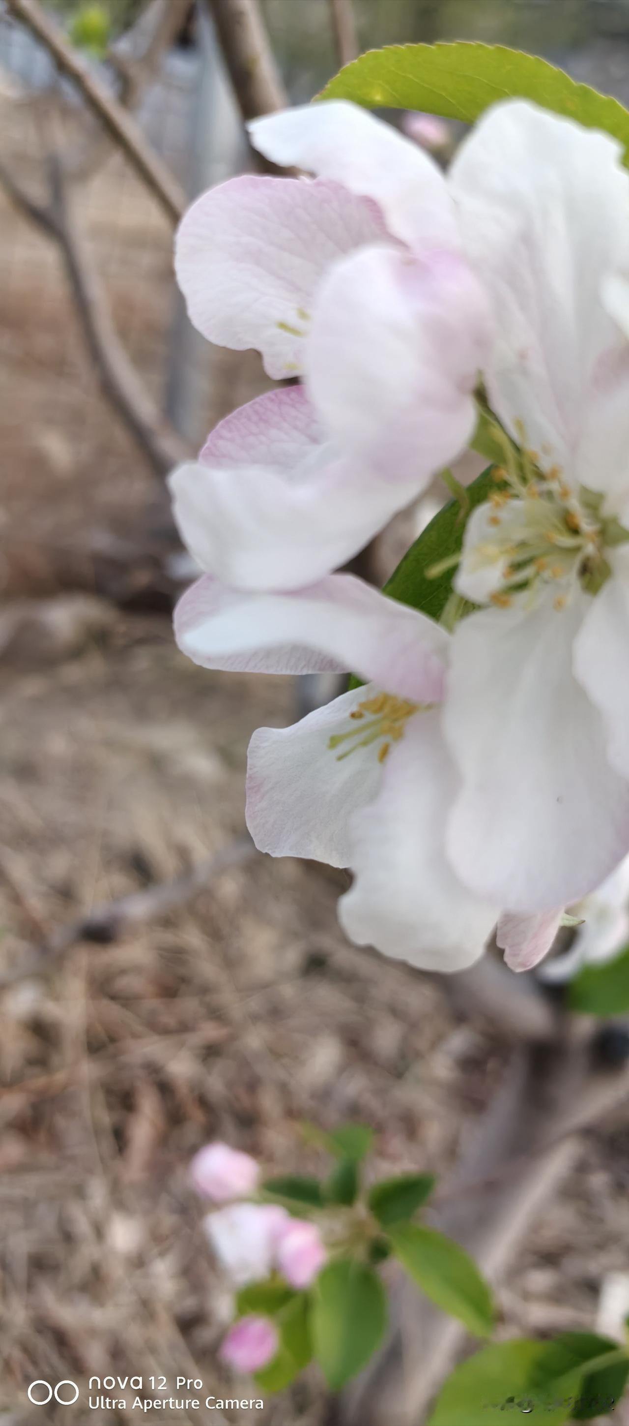 上联：柴米油盐皆有味，诚邀下联生活愉快皆欢乐。