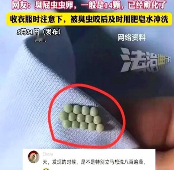 “太恶心了！”5月31日四川，一女子起床穿内衣，结果，却总感觉扣不舒服，她将内衣