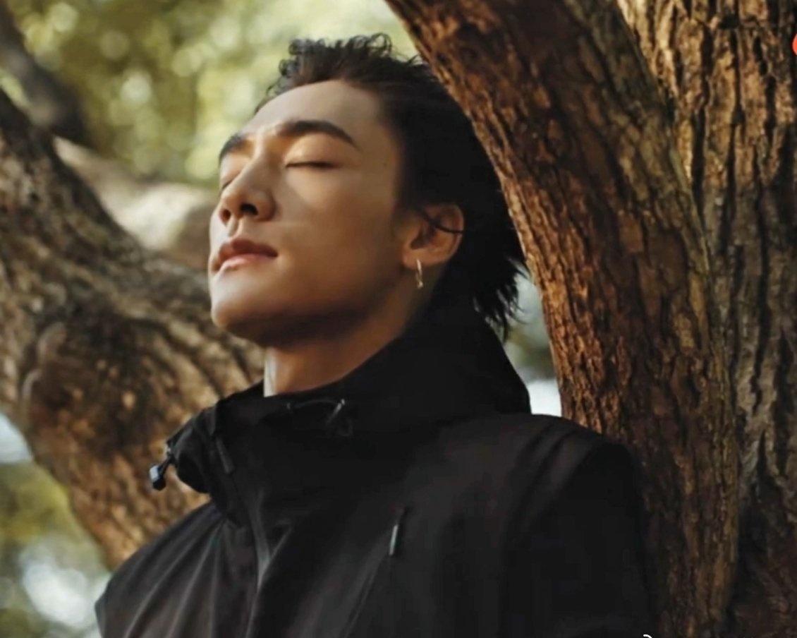 少时山间爬树嬉闹，长大之后依然愿意静静伫立树下，听风穿过枝叶。山林滋养出的野性与