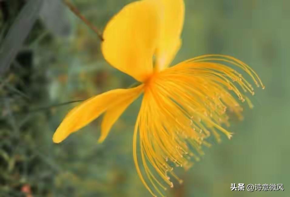 我今年53岁，二婚嫁60岁老伴，同住第一天，他就象变了个人！
 
在此之前，我们