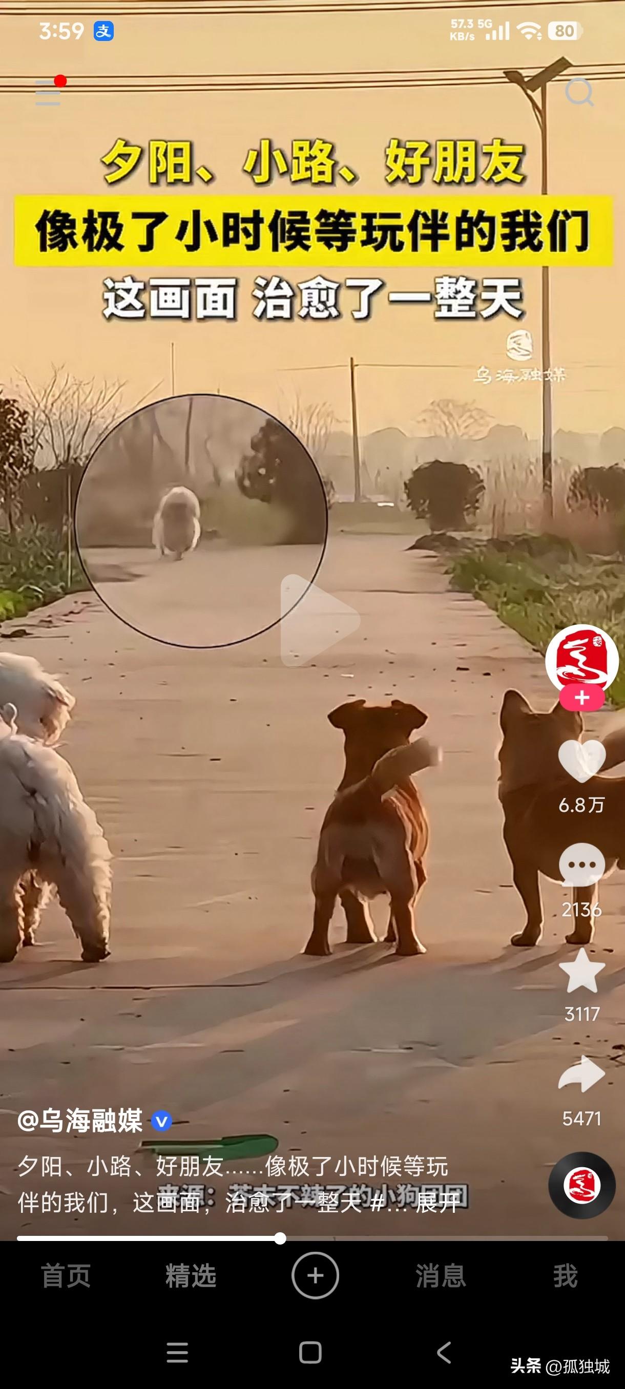 花有重开日，人无再少年，小时候最开心快乐的事就是吃完饭找小伙伴一起玩，如今居然在