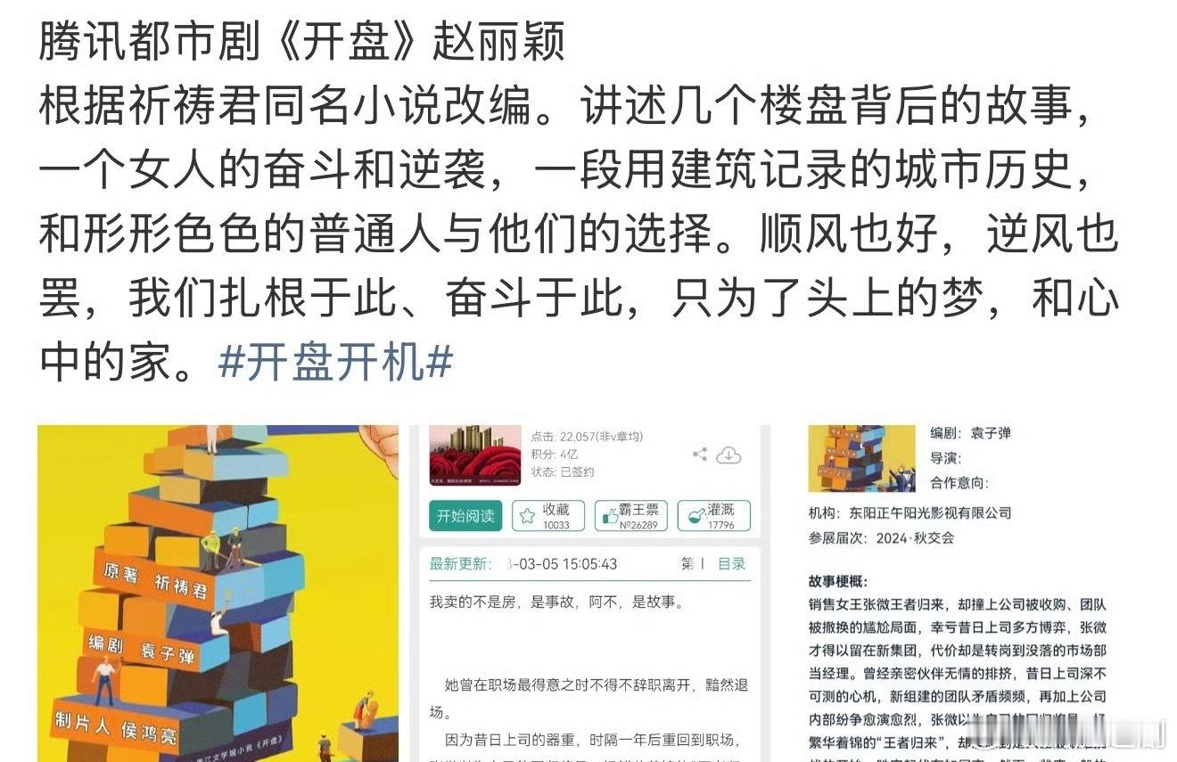 赵丽颖新🫓《开盘》，她真的戏路太窄了，每一部长剧都是大女主奋斗与逆袭。哪有这么