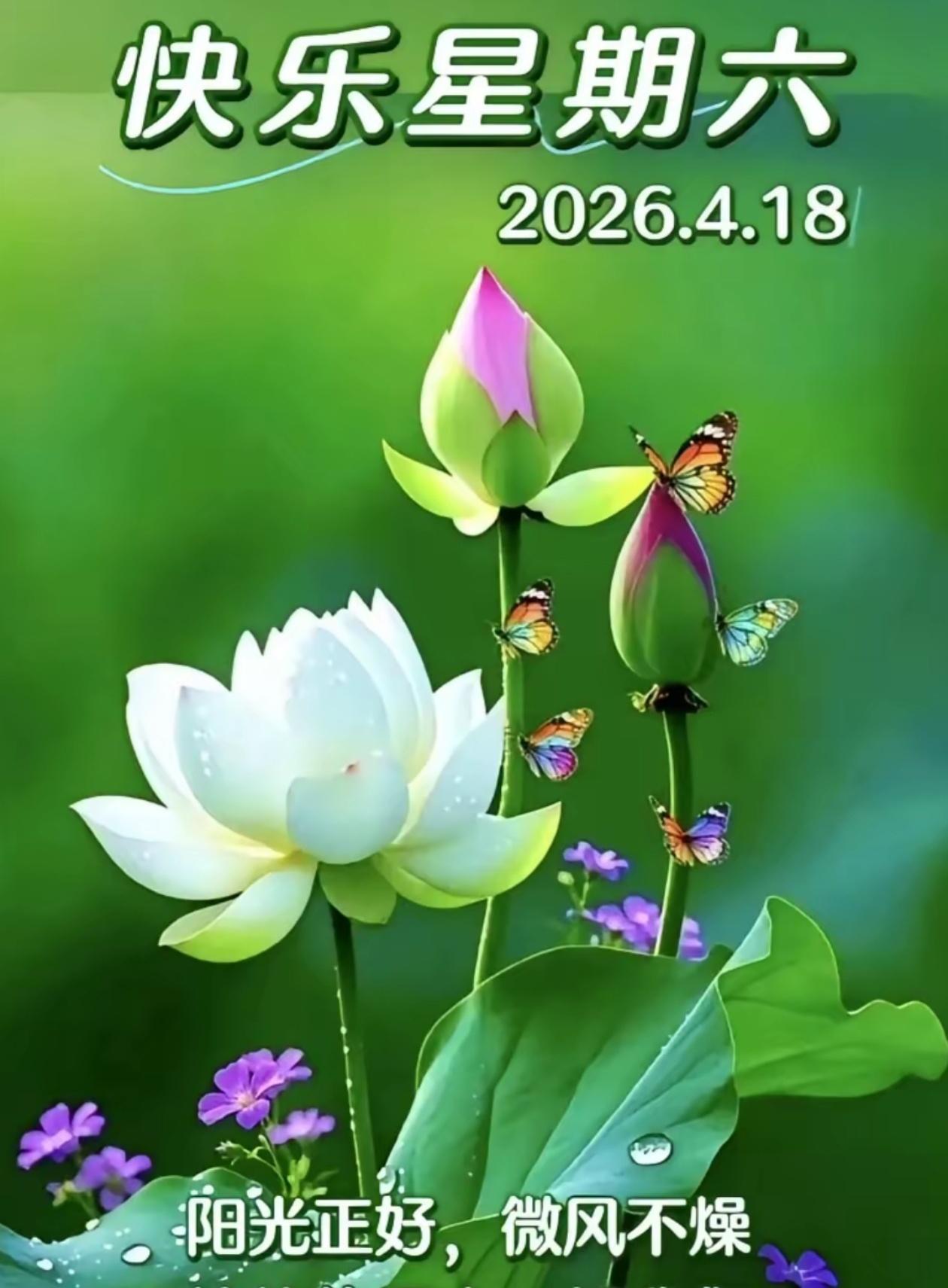 七绝🌿问春🌿

谷雨初收绿意稠，荷尖轻露小塘幽。
谁将农事酬春序，寻问薰风待