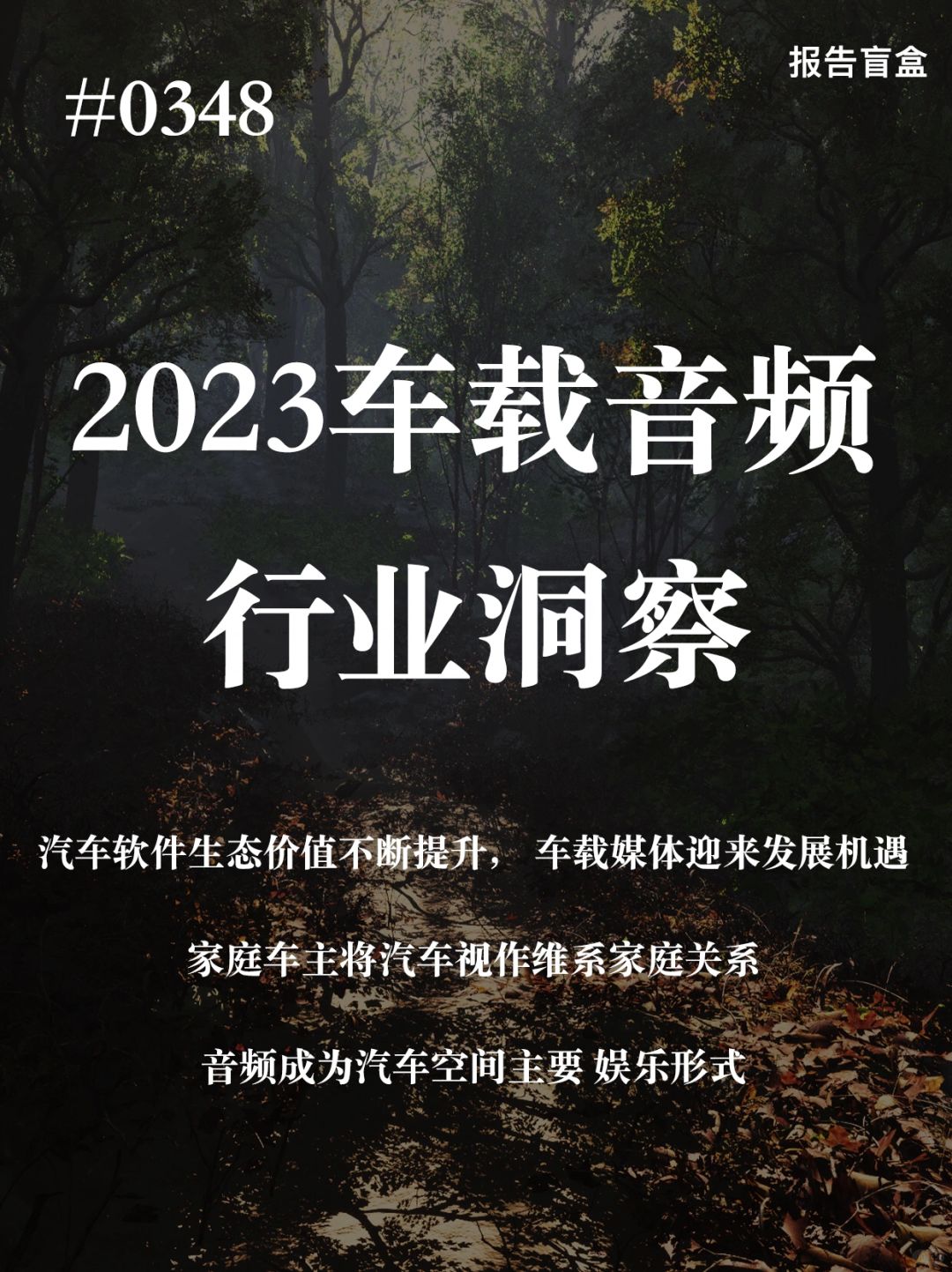  2023年车载音频行业洞察报告