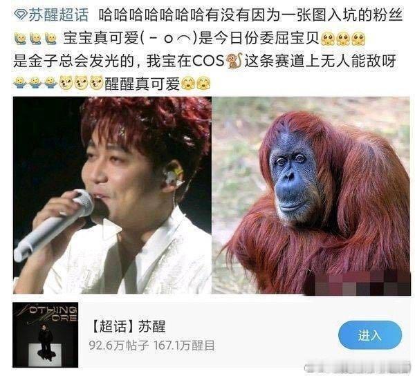 红毛🐷💩    🐷圈呆着别出来乱拱下🗡蹄子 