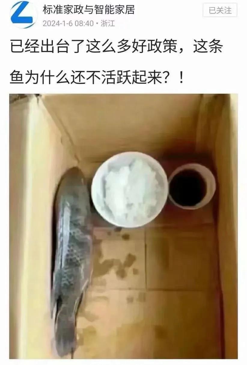 这条鱼的觉悟还是不太行