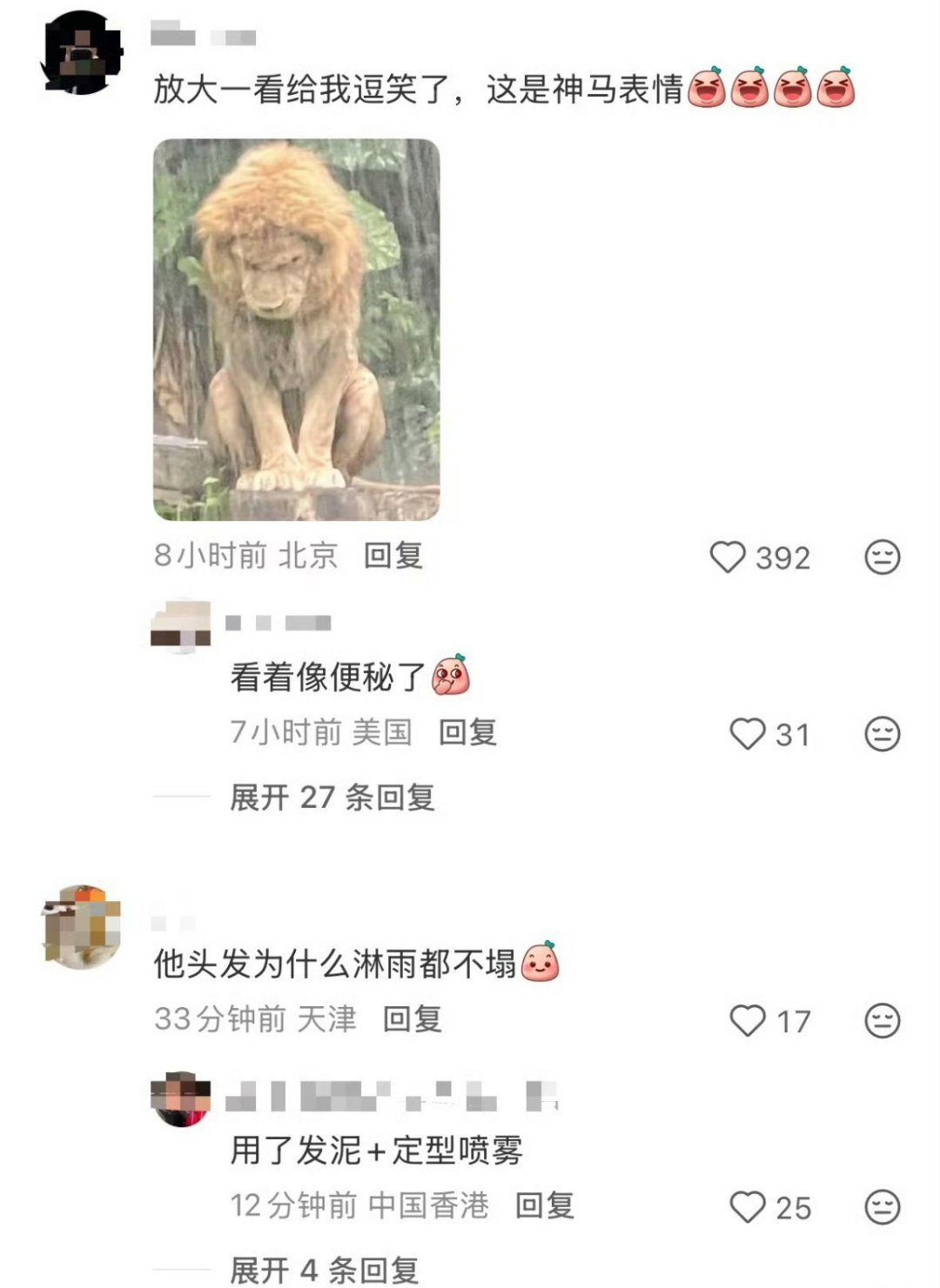 被长隆动物园淋雨狮子刷屏了忧郁狮王，哈哈哈好可爱广州遭遇强对流天气袭击，长隆野生