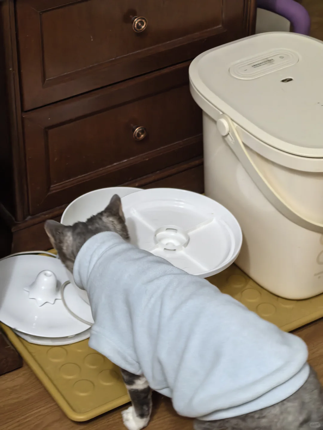 听说99%的凶手都会回到案发现场