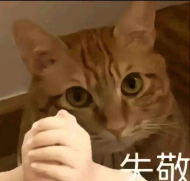 #表情包[超话]#猫子抱拳：失敬…… ​​​