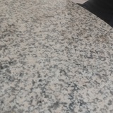丁悠爱看体育
