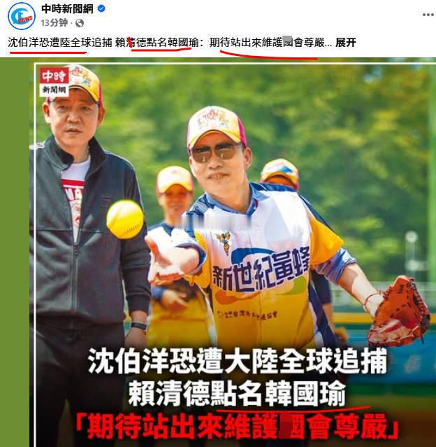 大陆依法打击台独顽固粪子沈伯洋，红绿对决，绿蛙不会让蓝蛙在两岸之间骑墙，绿蛙头子