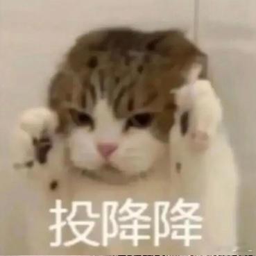 每日一告白屋里最棒的西皮溜溜 今天吃了个无糖酸奶效果嘎嘎好肚子痛痛的台风是来了还