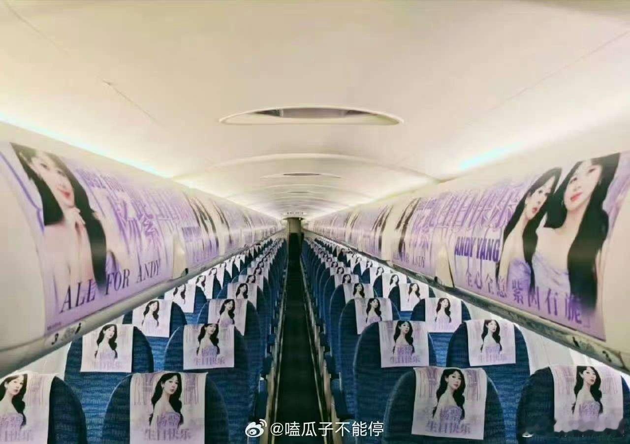 杨紫生日包机应援排面杨紫生日应援排面杨紫生日包机应援排面，厉害了，[哇] ​​​