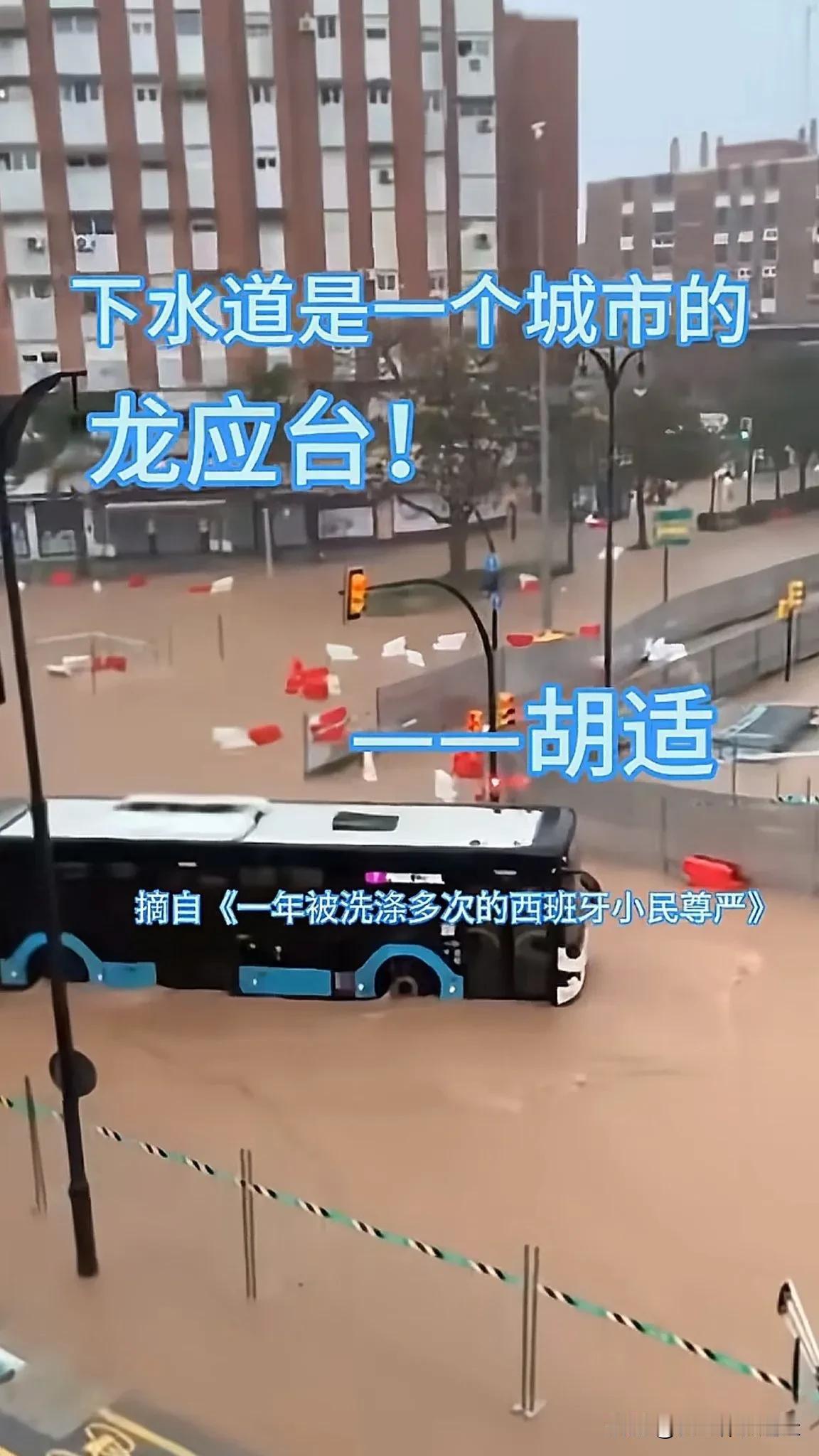 龙应台曾说：检验一座城市或一个国家是不是够现代化，一场大雨足矣。雨果说过，下水道