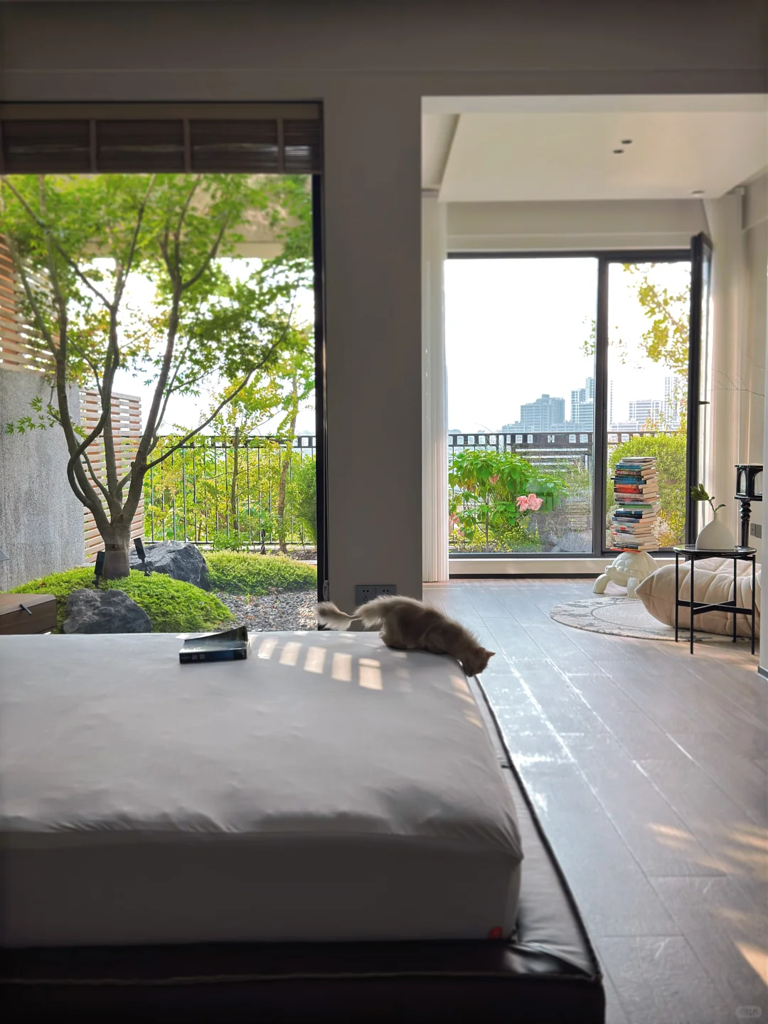 家里快容不下这棵树了🏡