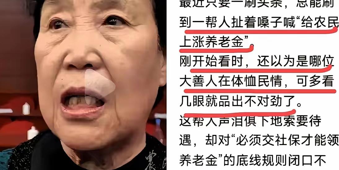 真是可笑，就因为农民代表郭凤莲同志，在“两会”上提了个给农民增加养老金的提案，现