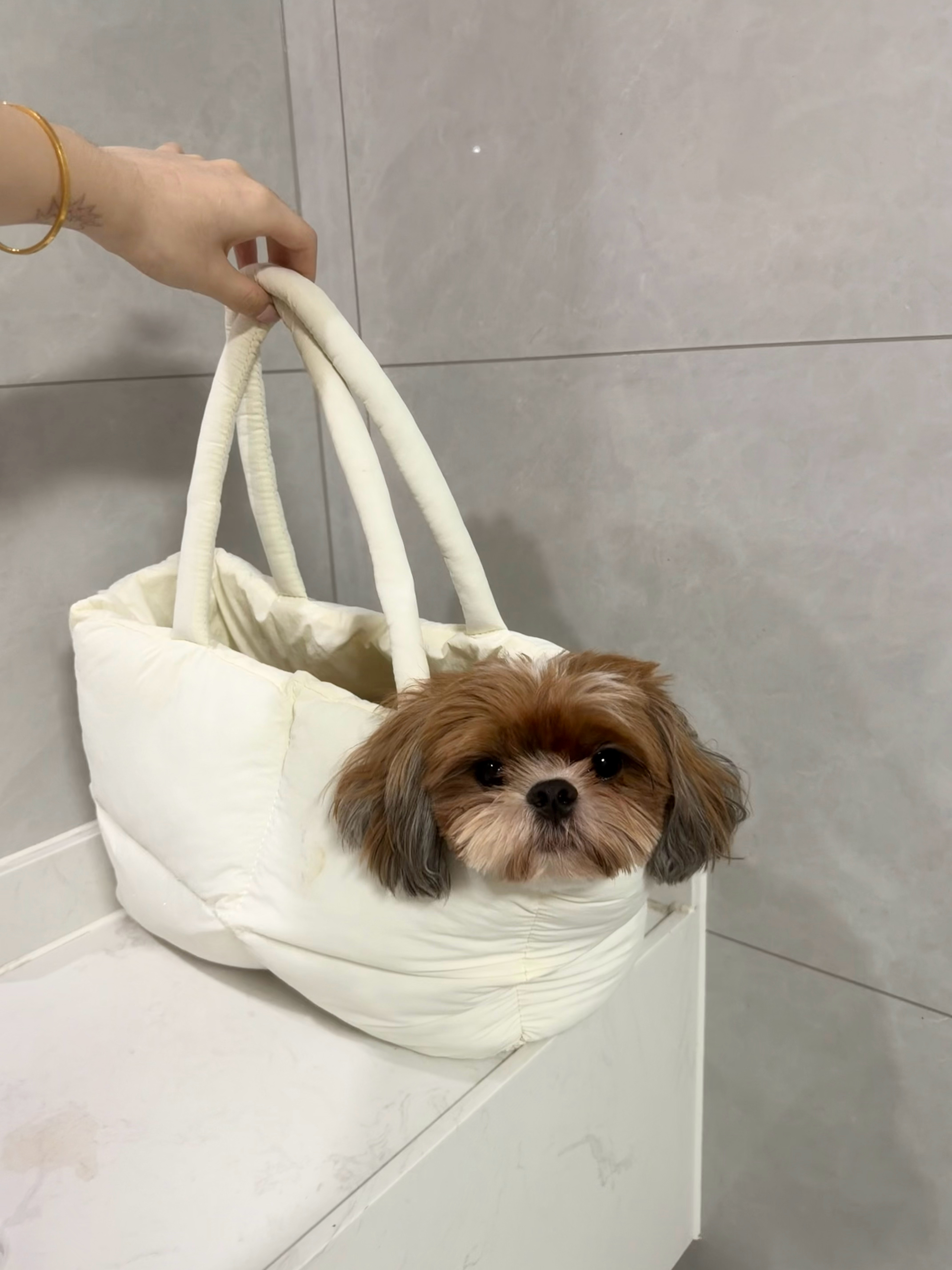 米粉：又是潦草的一天（小狗叹气）🐶 ​​​