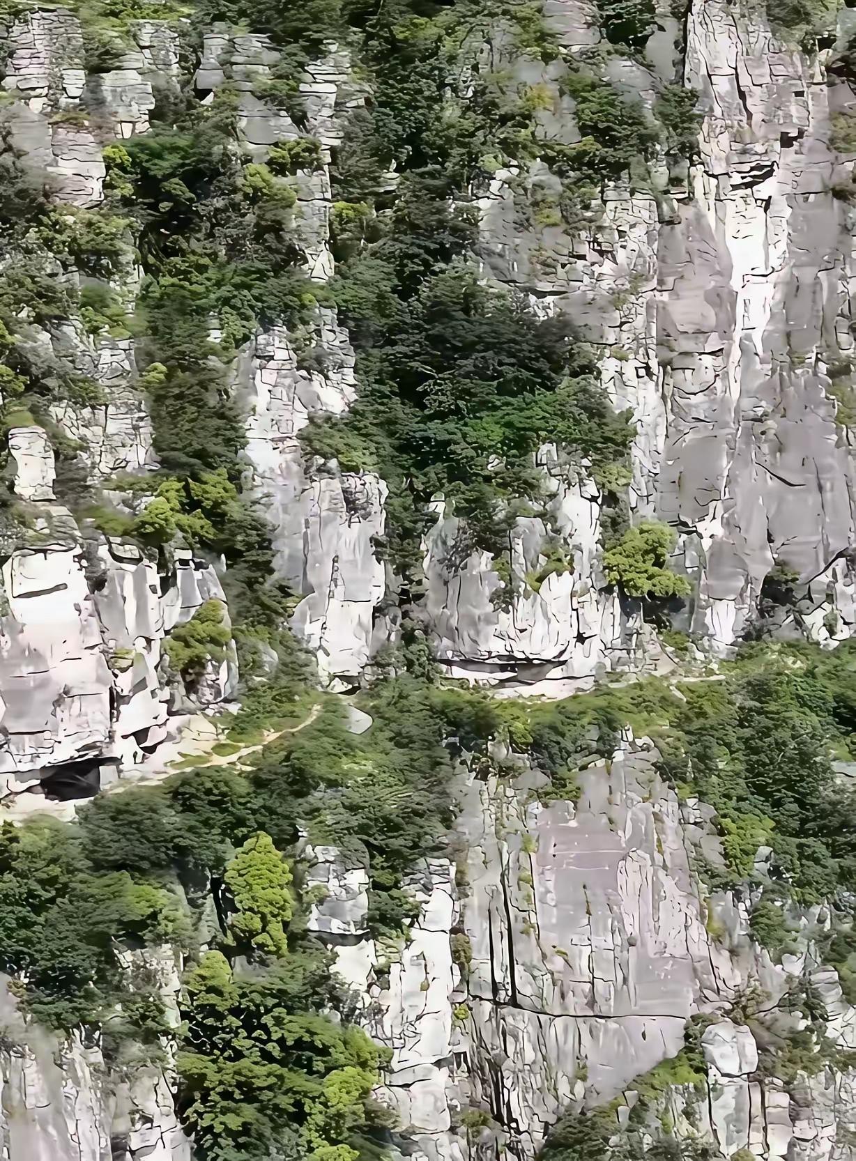 这就是程梦圆不幸坠崖的地方。
一条天然形成的野径狭窄不堪，仅仅容得下双脚交替挪动