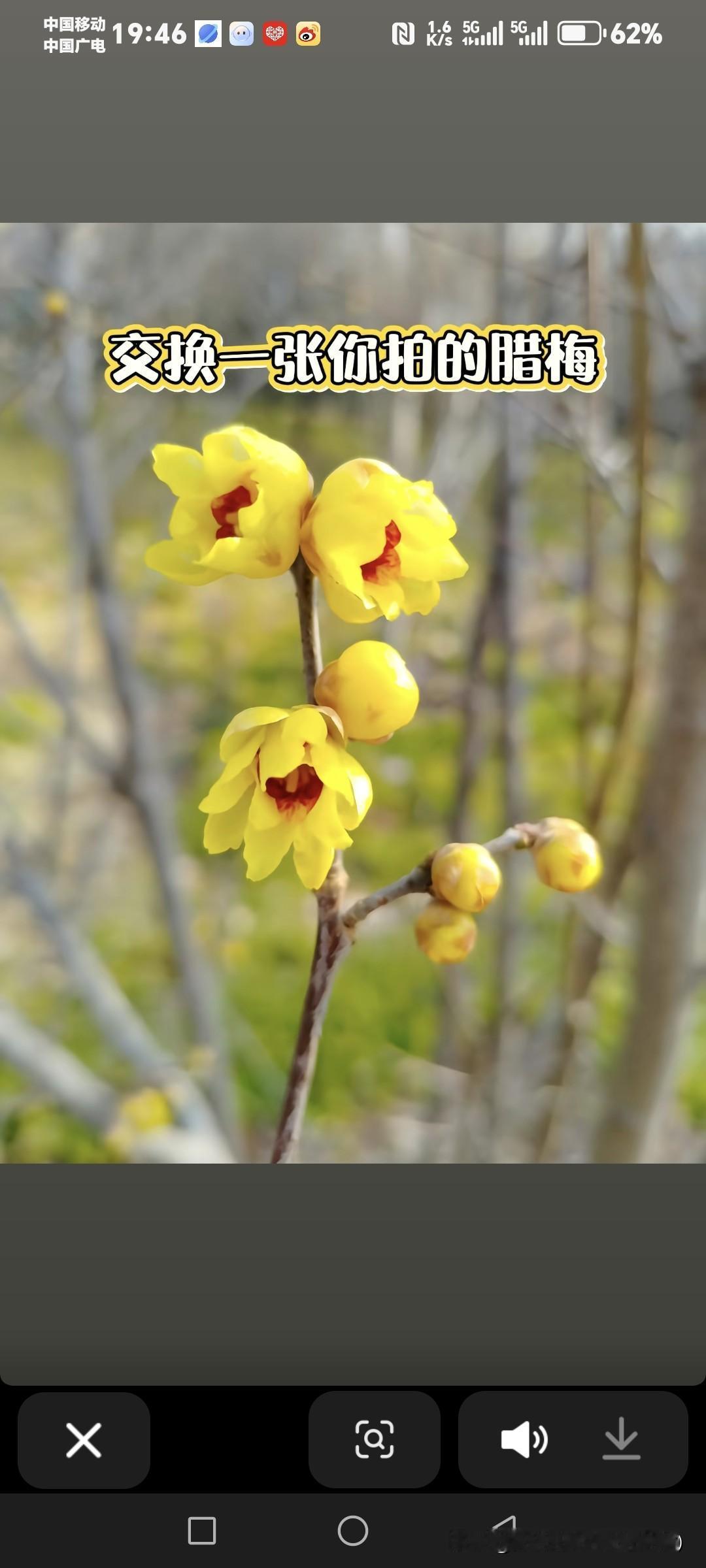 晒图笔记大赛｜冬末的浪漫，是梅花给的
 
红梅热烈似火，蜡梅暗香浮动，这大概是冬