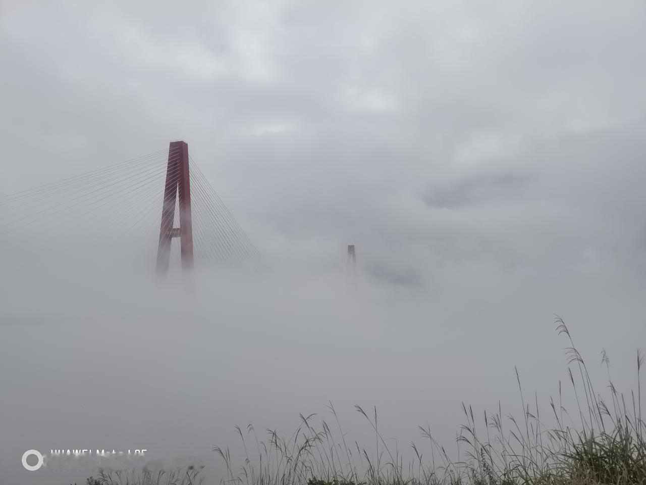 人说啥写啥没有人能控制，是自由，但流量是可控的，为什么人家随写屎尿就能有超长的流