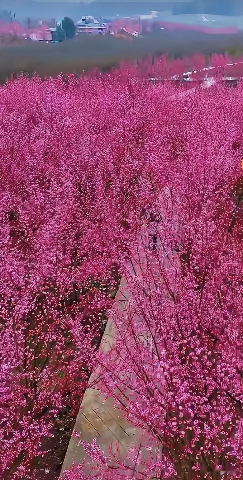 刚刚看了头条上一个小名人发的一条，这人，女，六十左右吧，大意是写一个老男人辜负了