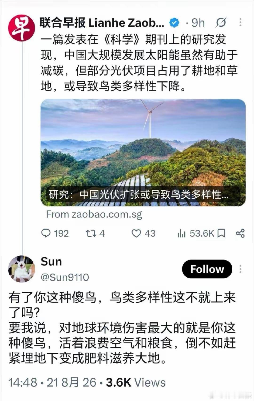 坡县媒体，犹如傻鸟。 