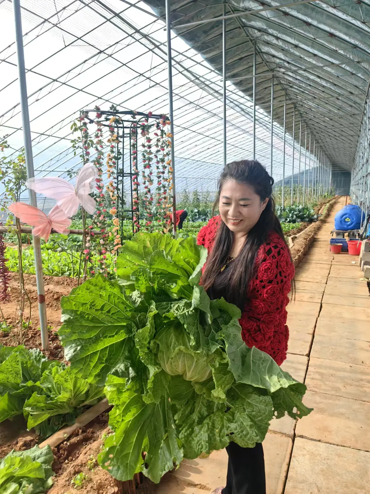 农家院农家菜农家生活