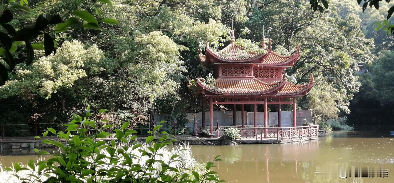 五一假期，没有去旅游，就像平时一样，在自家附近的景点，和街道上走了走。
 
今年