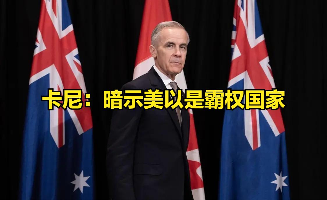 加拿大总理谈及美以伊战争，暗示的信号非常明显。美国和以色列是霸权国家吗？估计在他